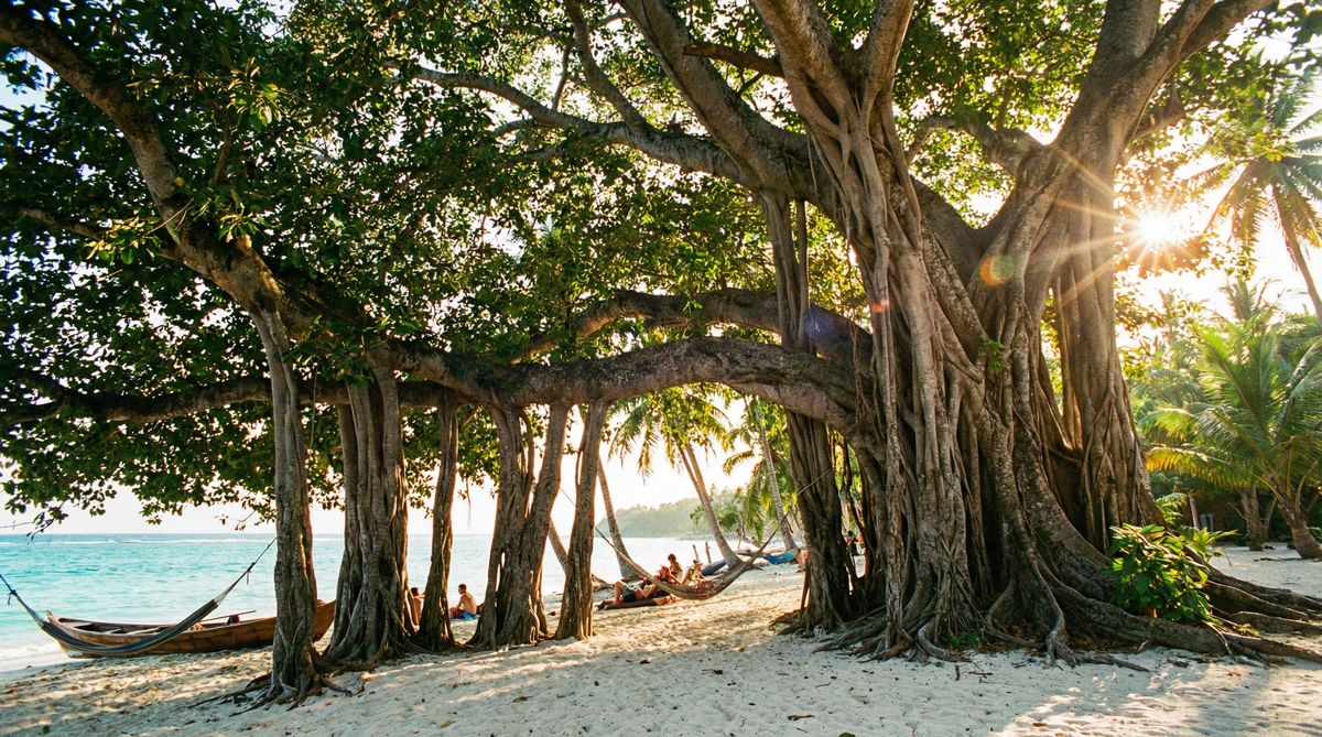 抖阴古榕树视频